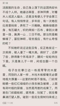 爱游戏APP官网罗马赞助